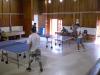 kep_pingpong_176_t1.jpg