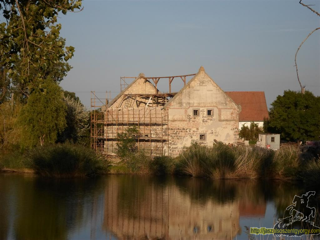 SAM_3863 (Large).JPG