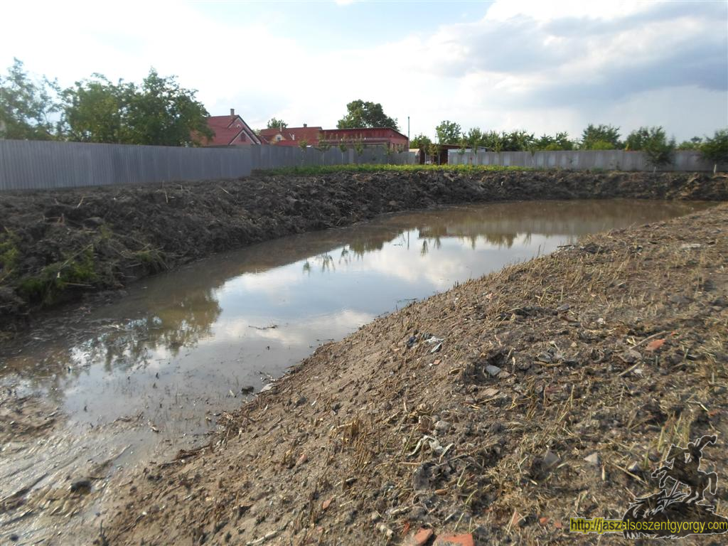 SAM_3554 (Large).JPG