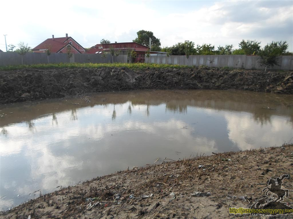 SAM_3556 (Large).JPG