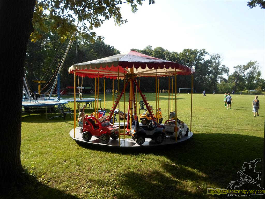 SAM_3659 (Large).JPG