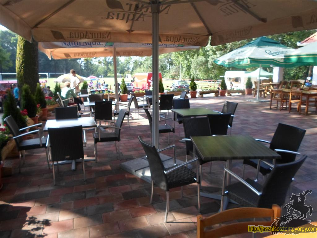 SAM_3669 (Large).JPG