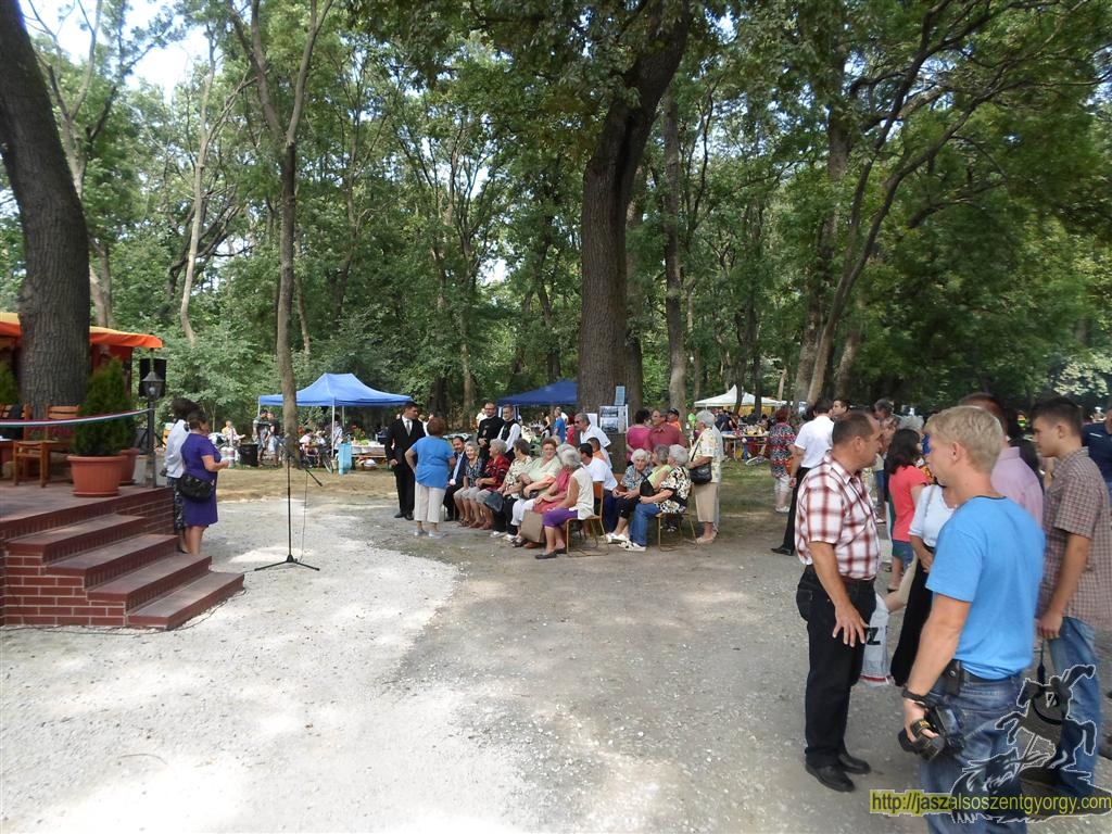 SAM_3742 (Large).JPG