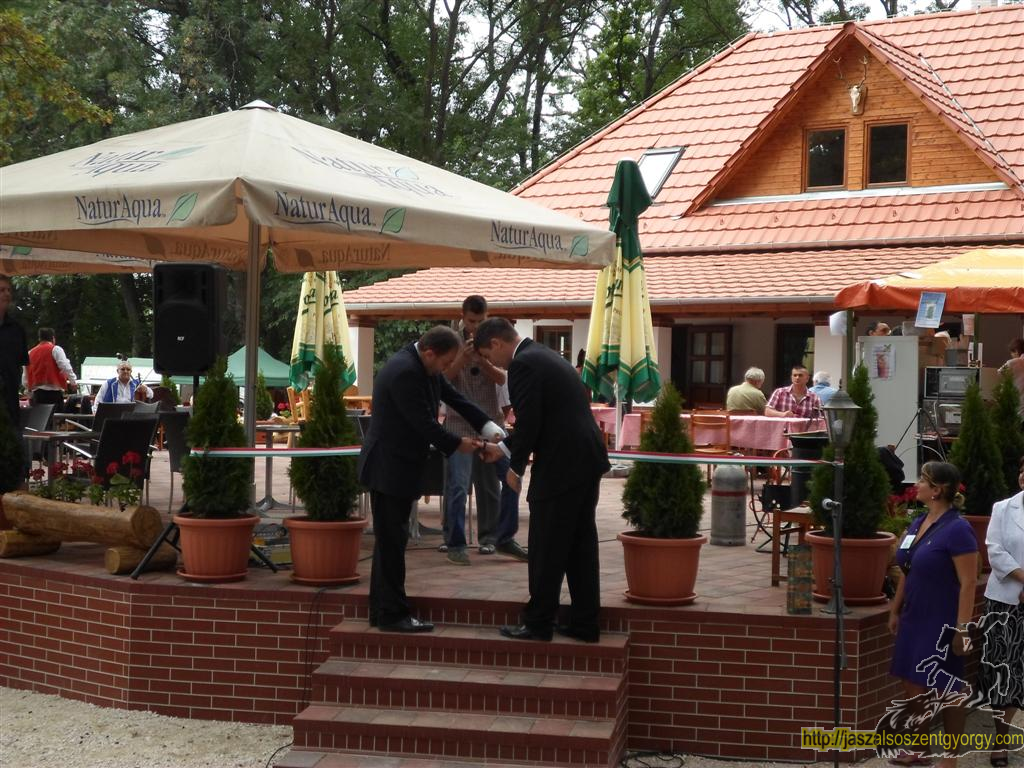 SAM_3762 (Large).JPG