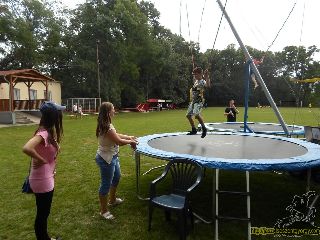 SAM_3768 (Large).JPG