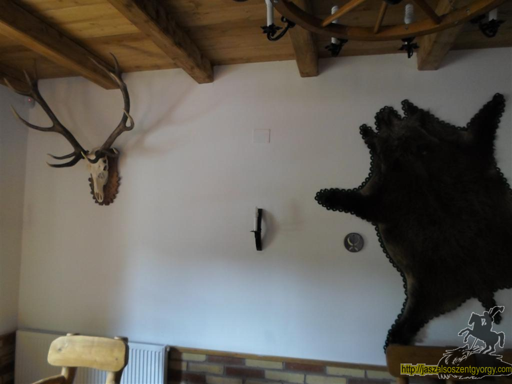 SAM_3770 (Large).JPG