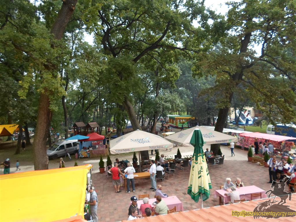 SAM_3776 (Large).JPG