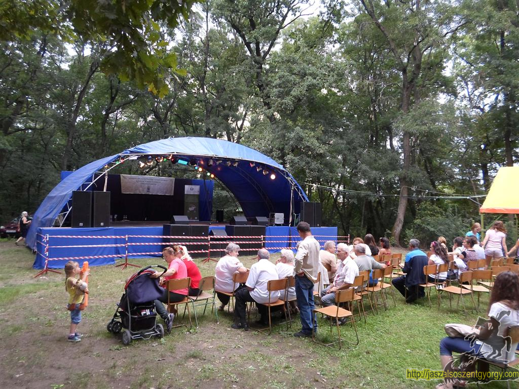 SAM_3819 (Large).JPG