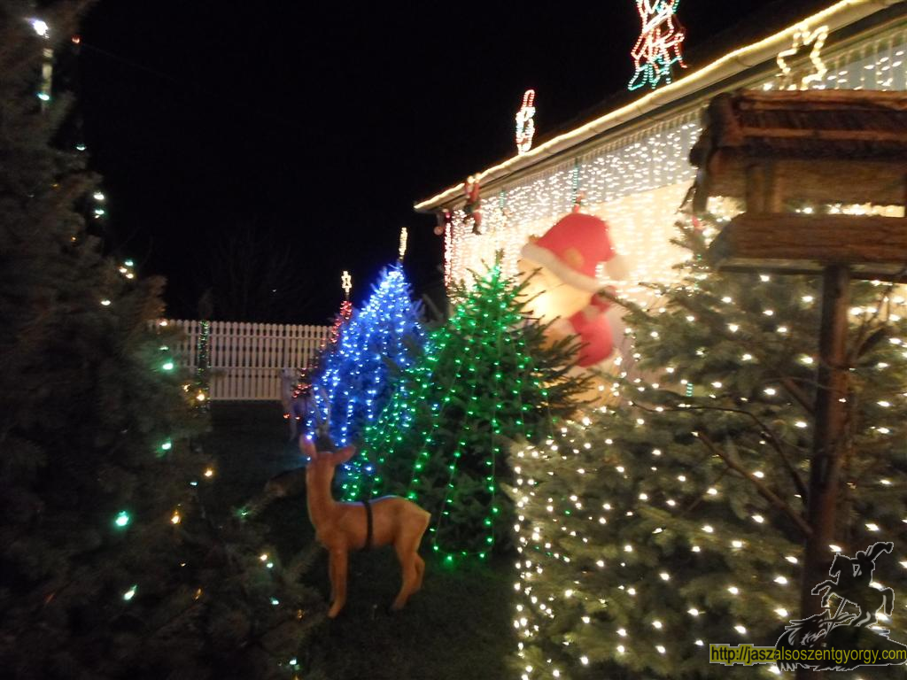 SAM_4392 (Large).JPG