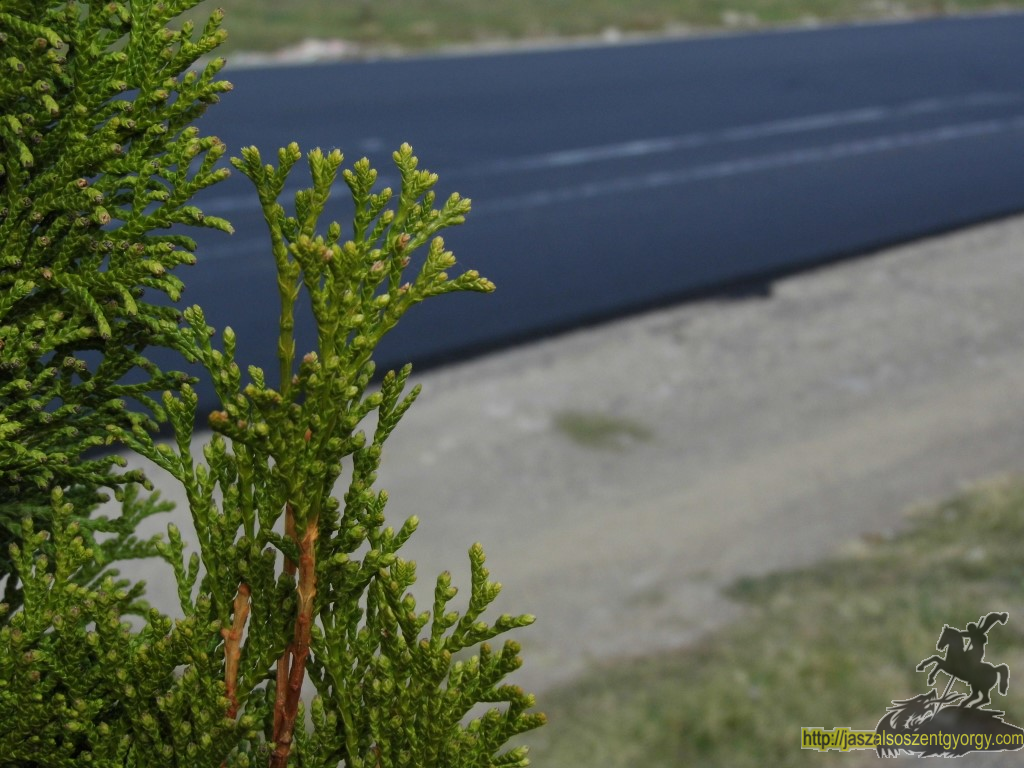 aszfaltburkolat_9.JPG