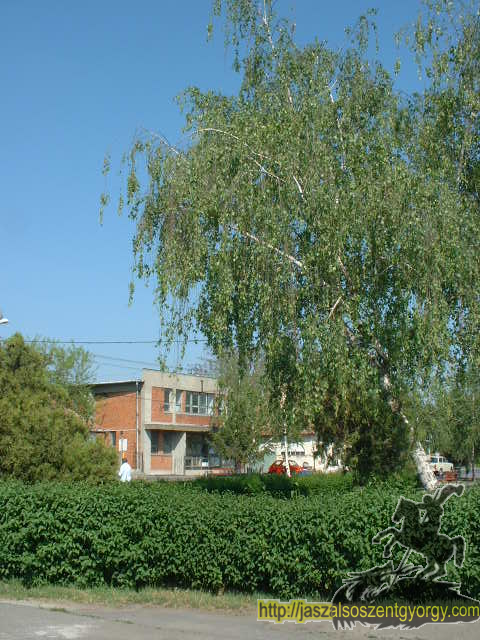 dscf0269.jpg
