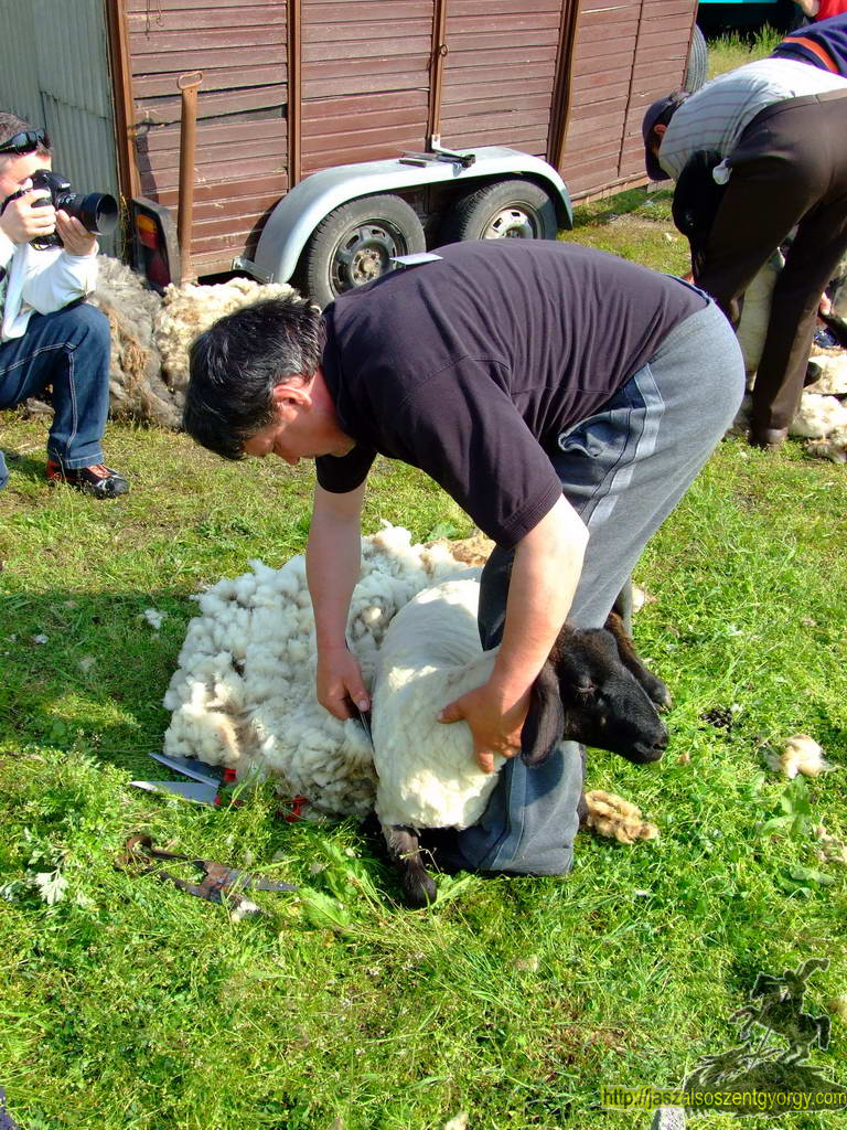 birkanyiro100424_ 022.JPG