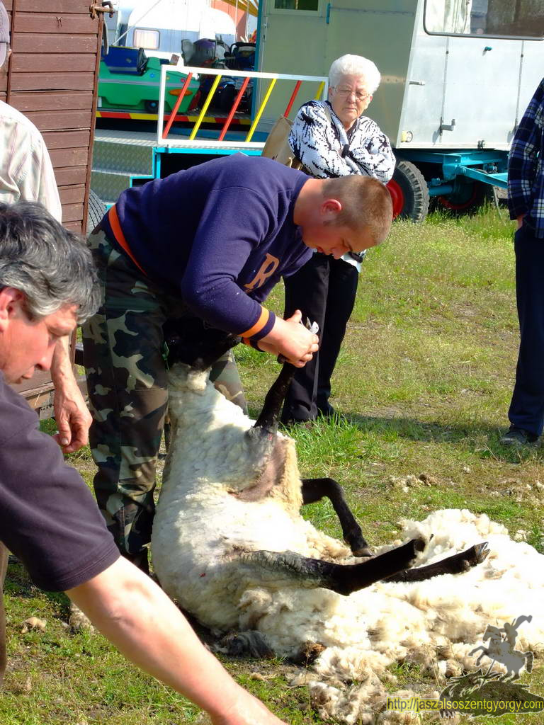 birkanyiro100424_ 026.JPG