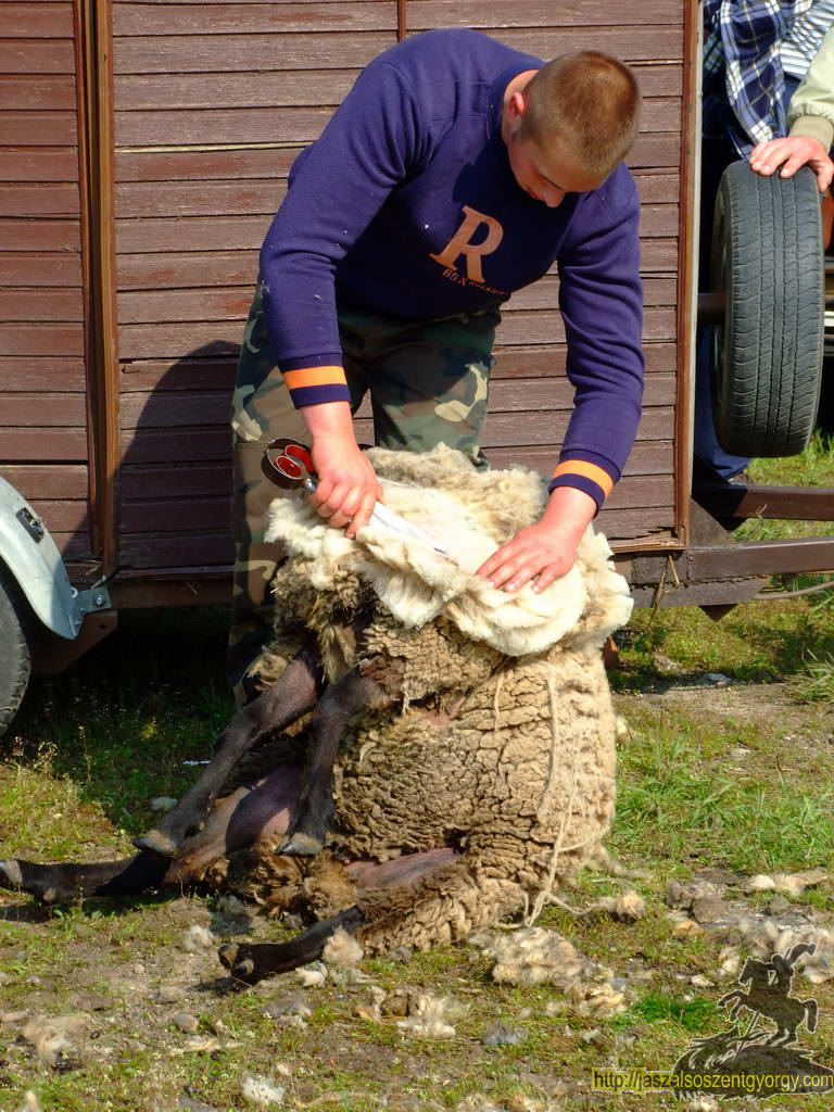 birkanyiro100424_ 033.JPG