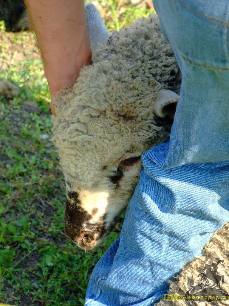 birkanyiro100424_ 036.JPG